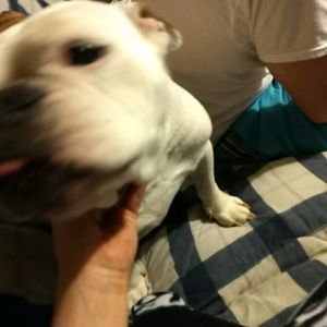 Meet your Posher, Jody